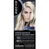 Coloration 10_53 Kühles Hellblond