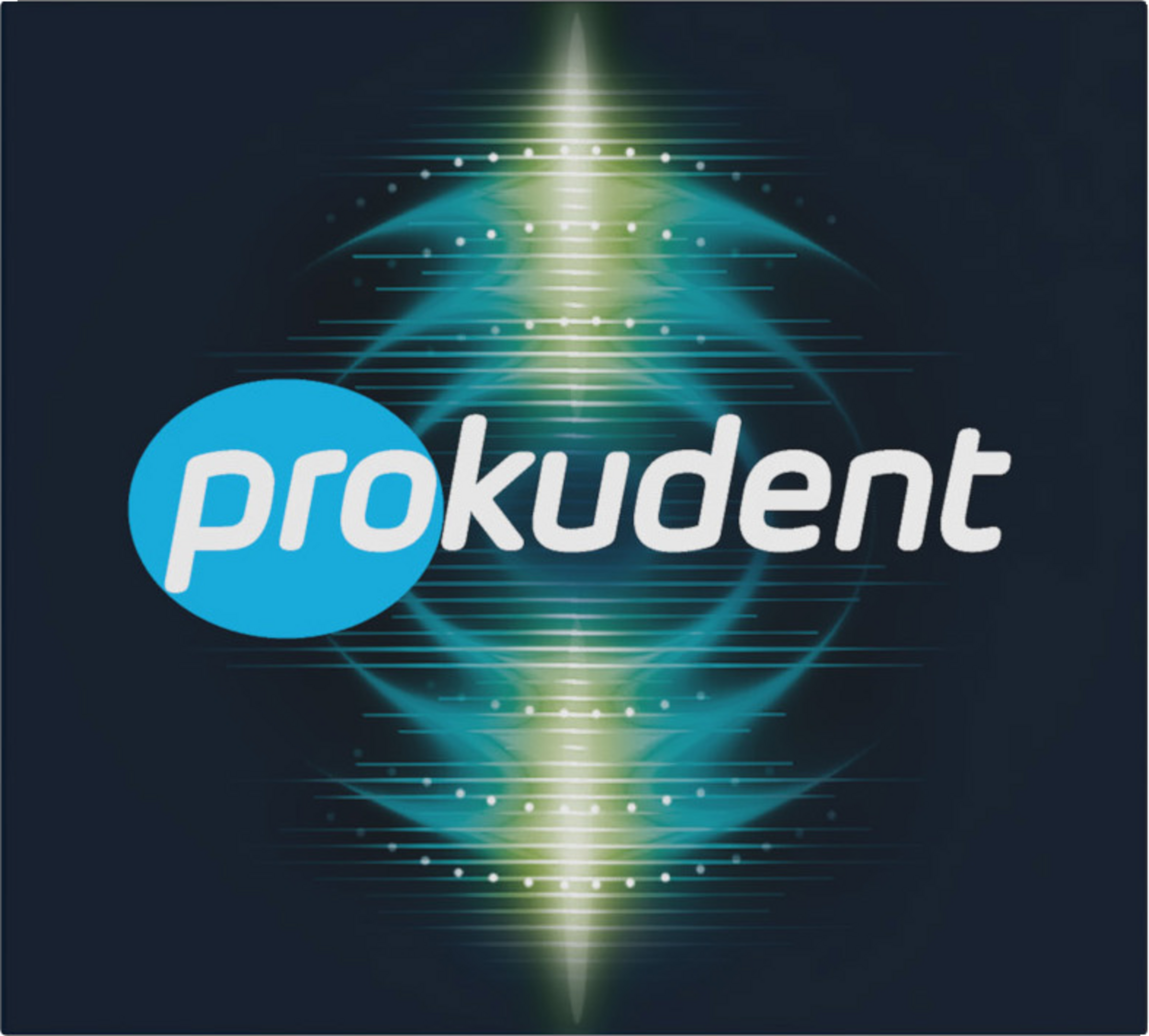 فرشاة أسنان صوتية قابلة لإعادة الشحن بشاشة LCD (Sonic Akku-Zahnbürste LCD) 6