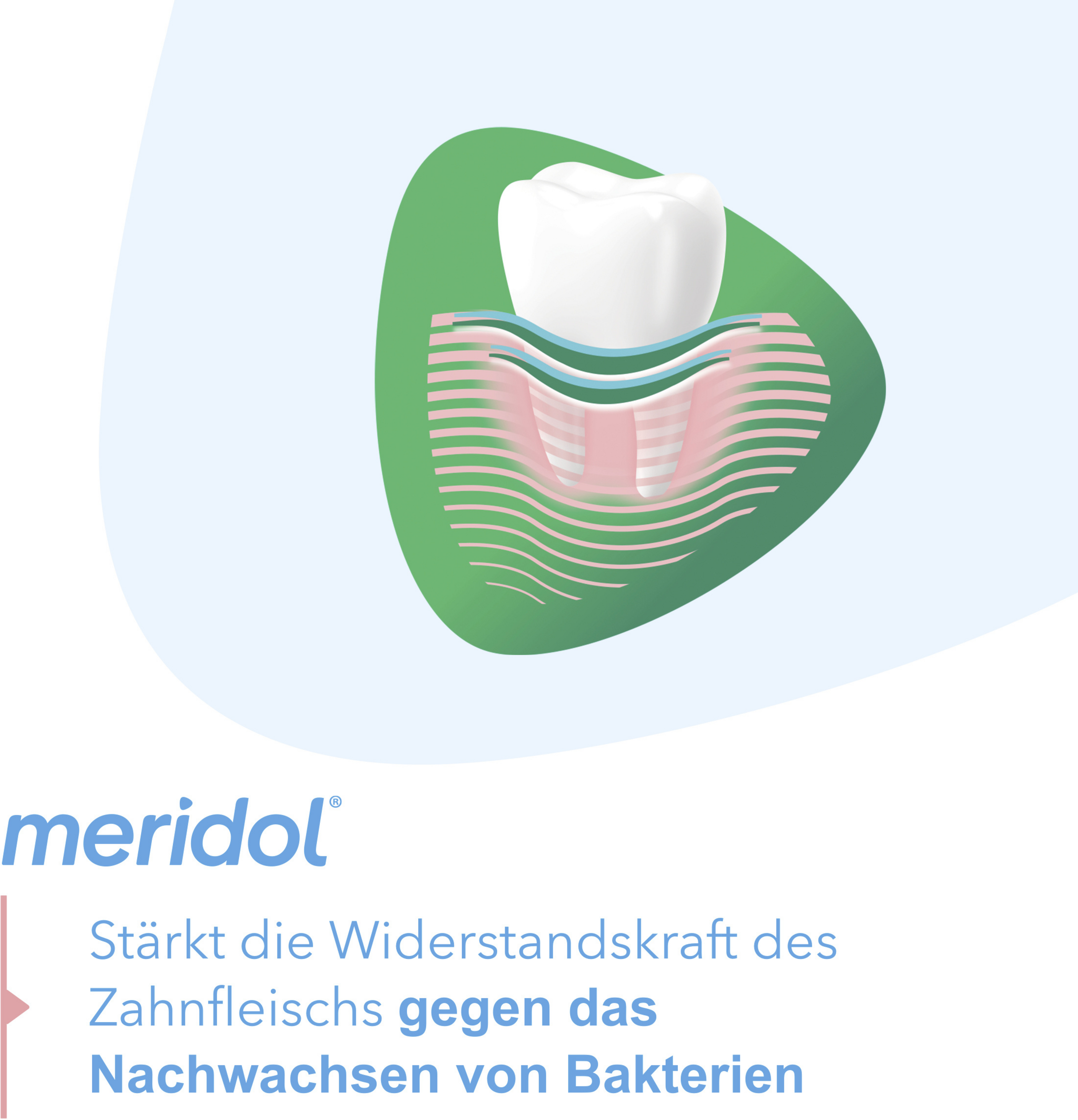 غسول الفم اليومي لحماية اللثة + نفس منعش 7