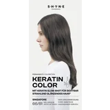 Permanente Coloration Keratin Color 66/81 Singapore