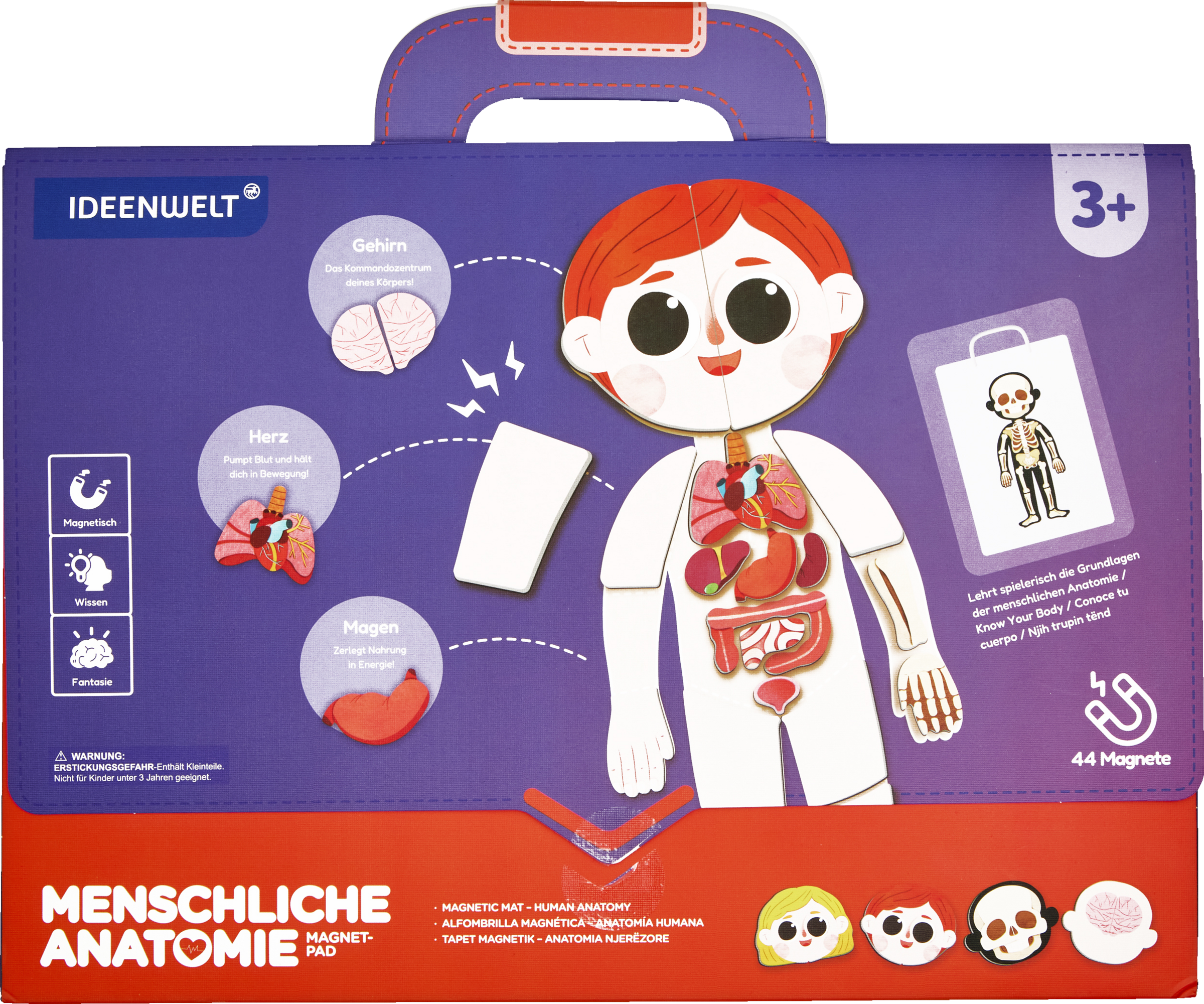 IDEENWELT Magnetbuch Menschliche Anatomie
