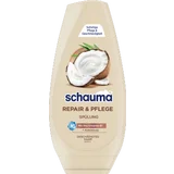 Spülung Repair & Pflege