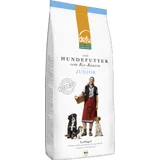 Hund Junior Geflügel