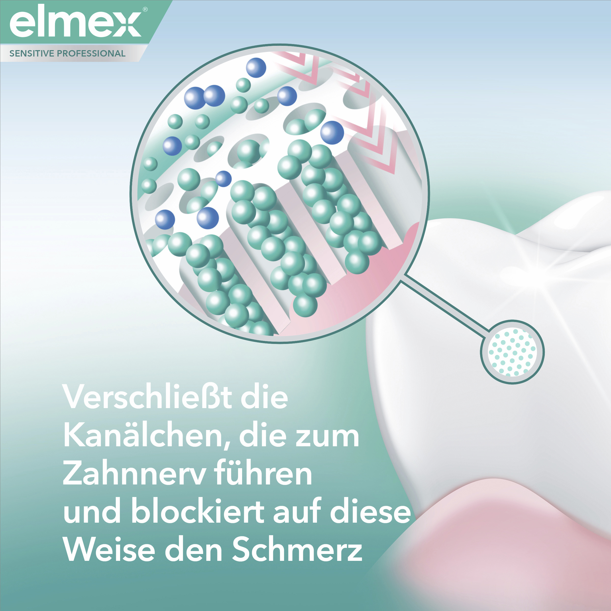 Sensitive Professional Repair & Prevent تبييض لطيف 4