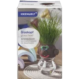 Graskopf Gesicht