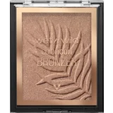 Color Icon Bronzer Palm Beach Ready