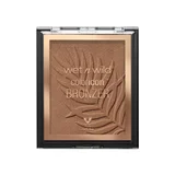 Color Icon Bronzer What Shady Beaches