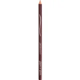 Color Icon Lipliner Pencil Willow