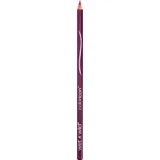 Color Icon Lipliner Pencil Fab Fuschia