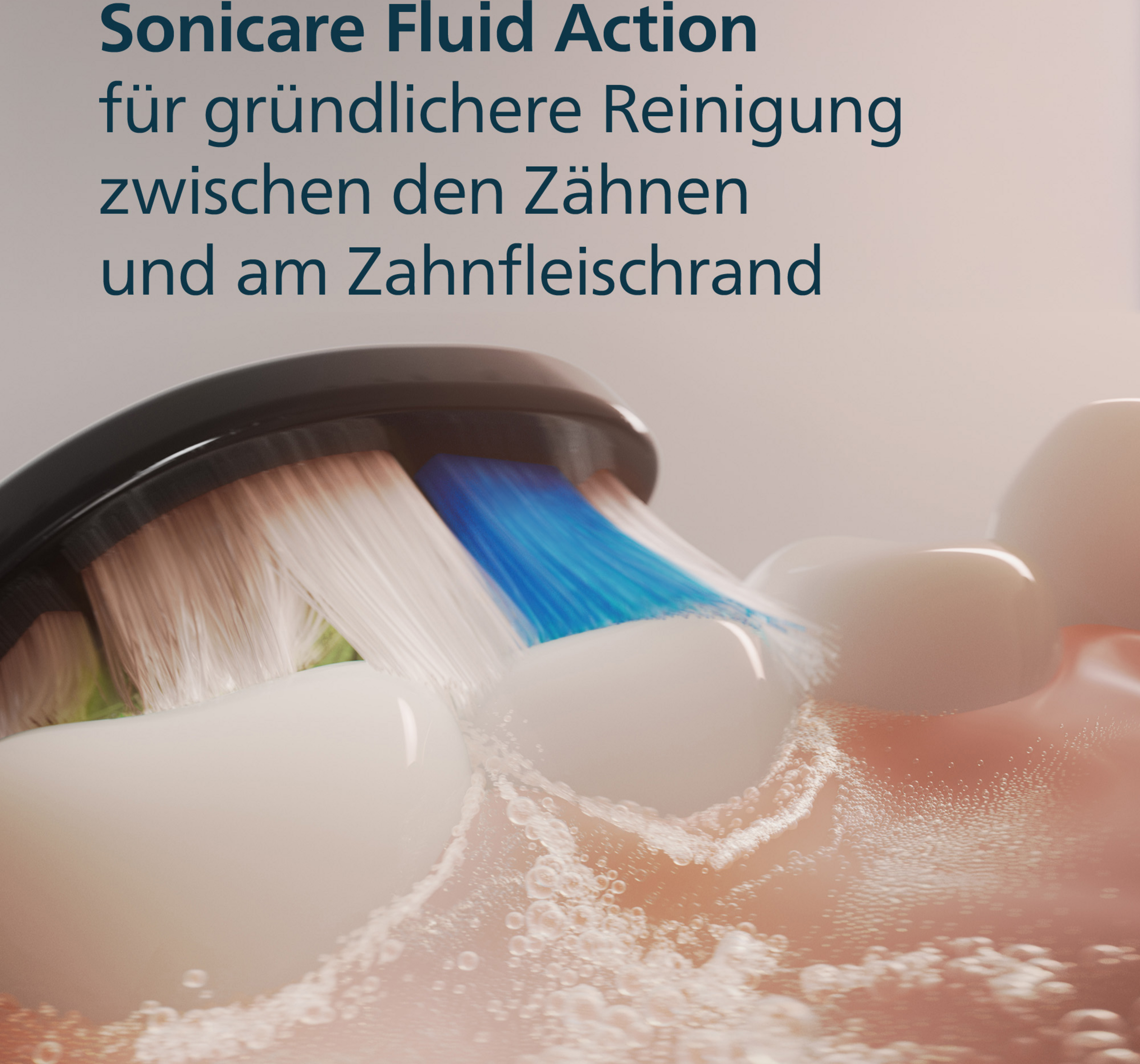 رؤوس فرشاة W2 Optimal White HX6066/88 سوداء 5