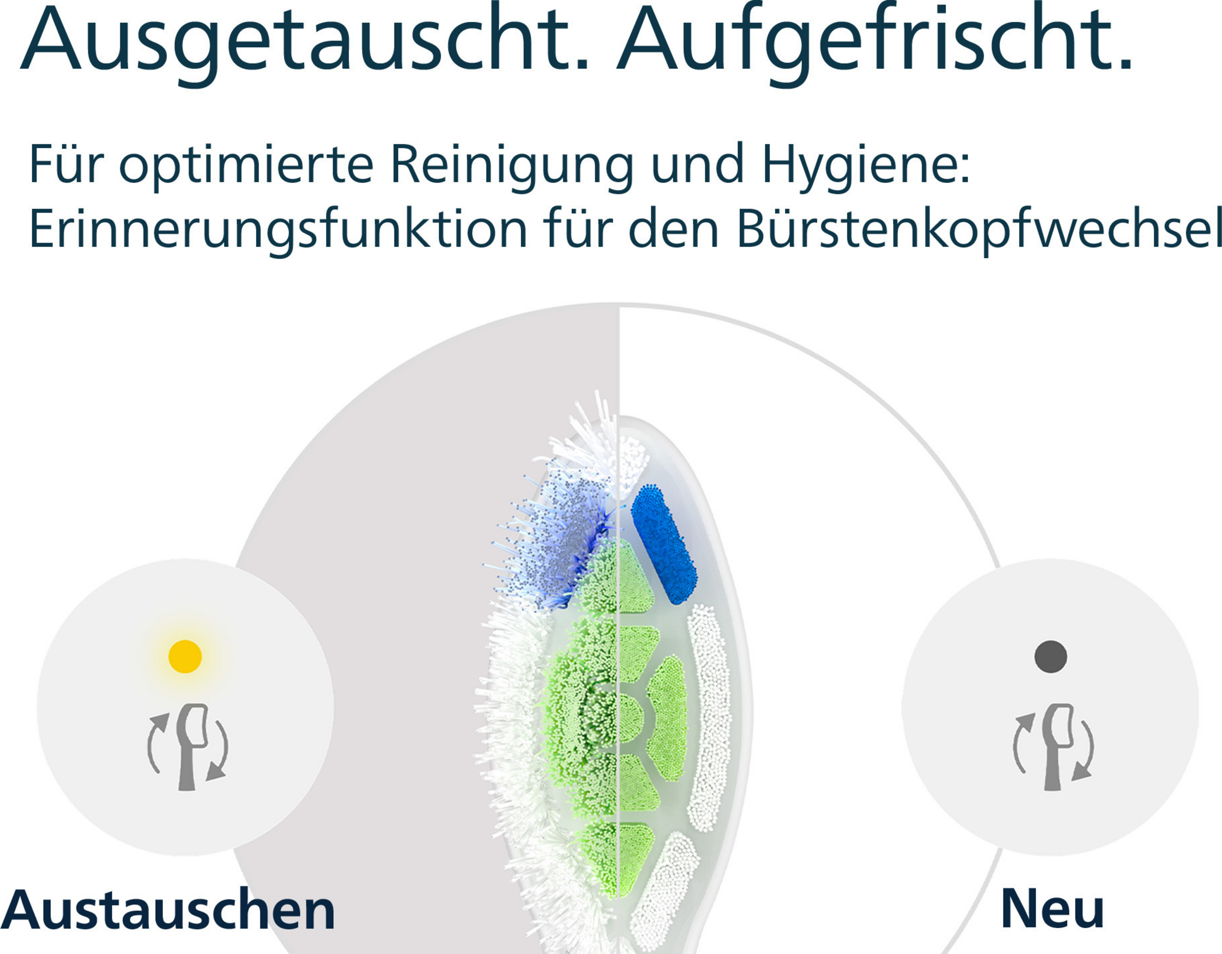 رؤوس فرشاة W2 أوبتمايل وايت HX6066/87 أبيض 8
