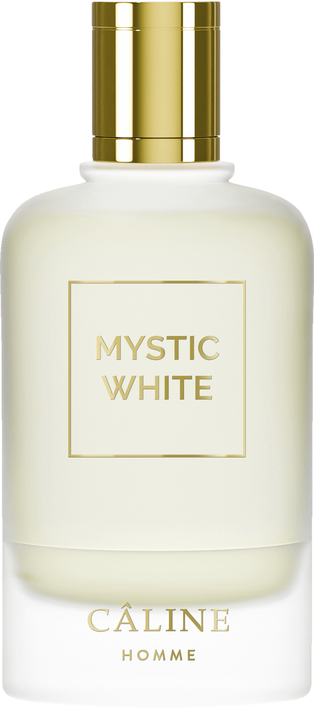 Homme Mystic White, EdT 60 ml