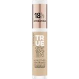 True Skin High Cover Concealer 039