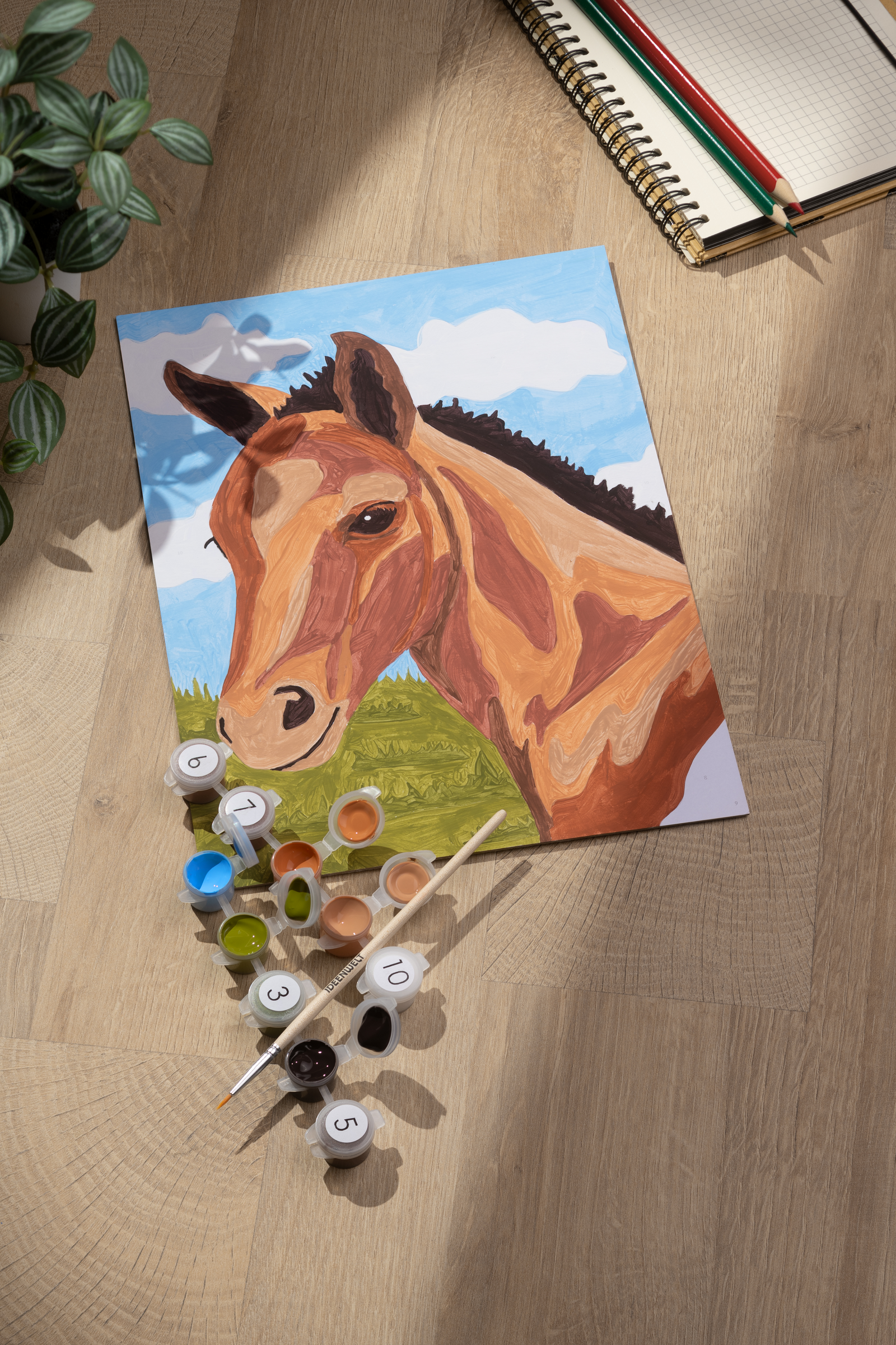 Malen nach Zahlen - Fohlen