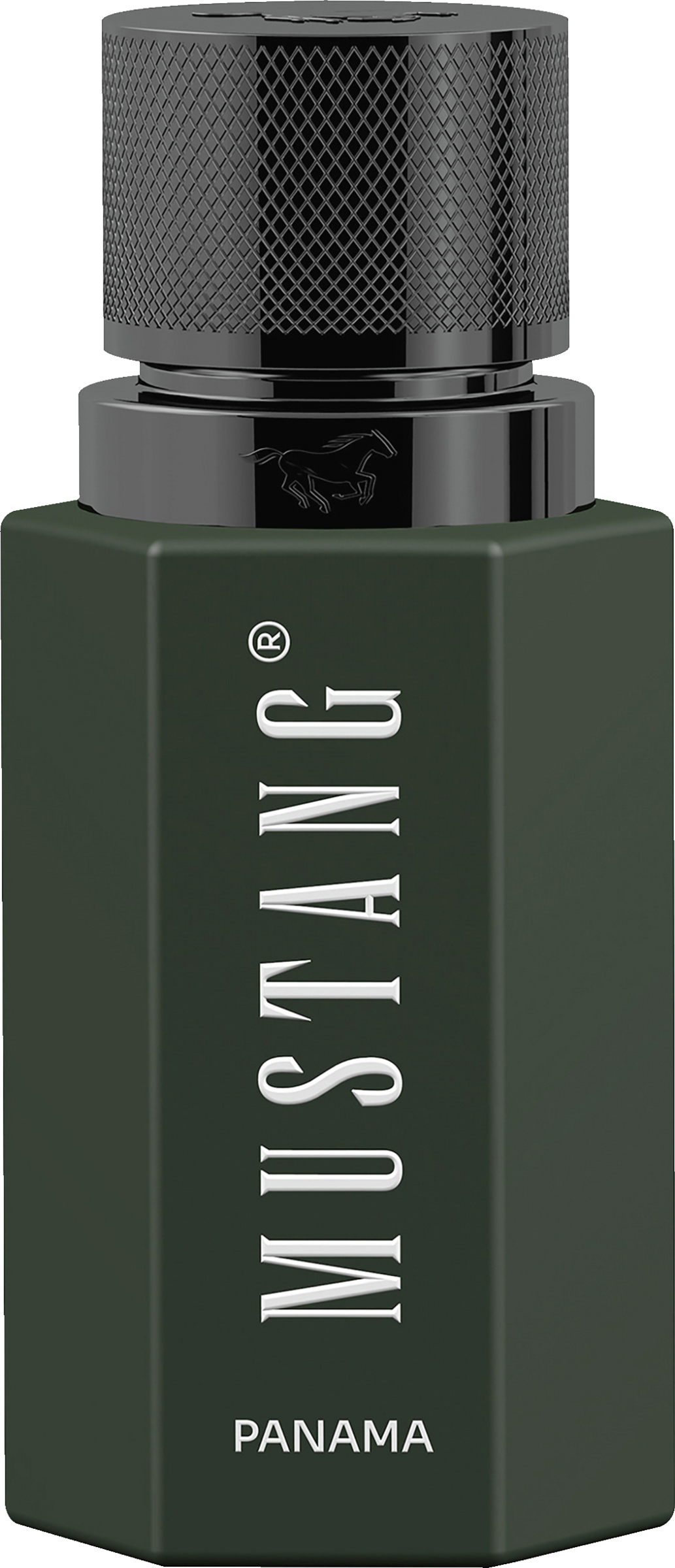 WILD HORIZON PANAMA for him, EdP 50ml