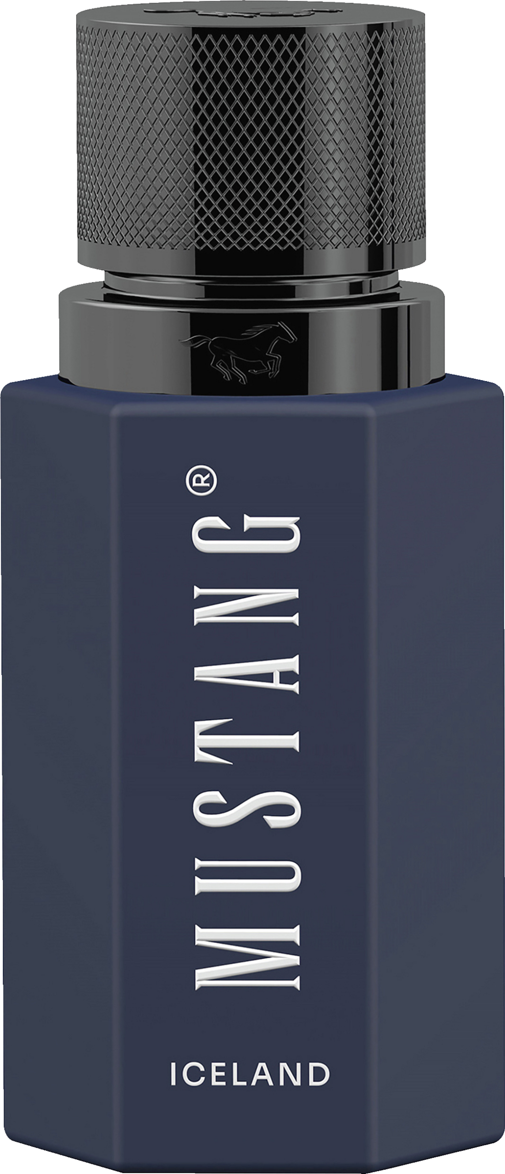 WILD HORIZON ICELAND for him, EdP 50ml