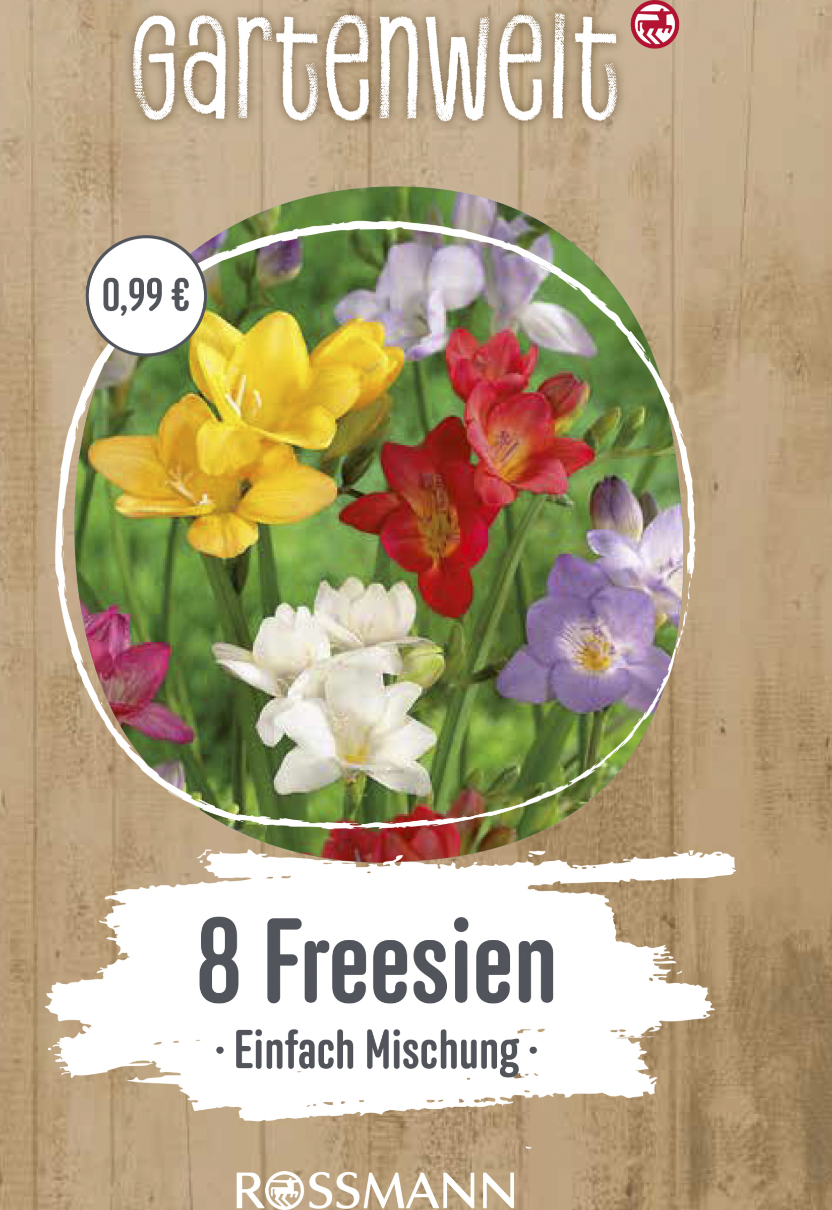 Freesien Einfache Mischung