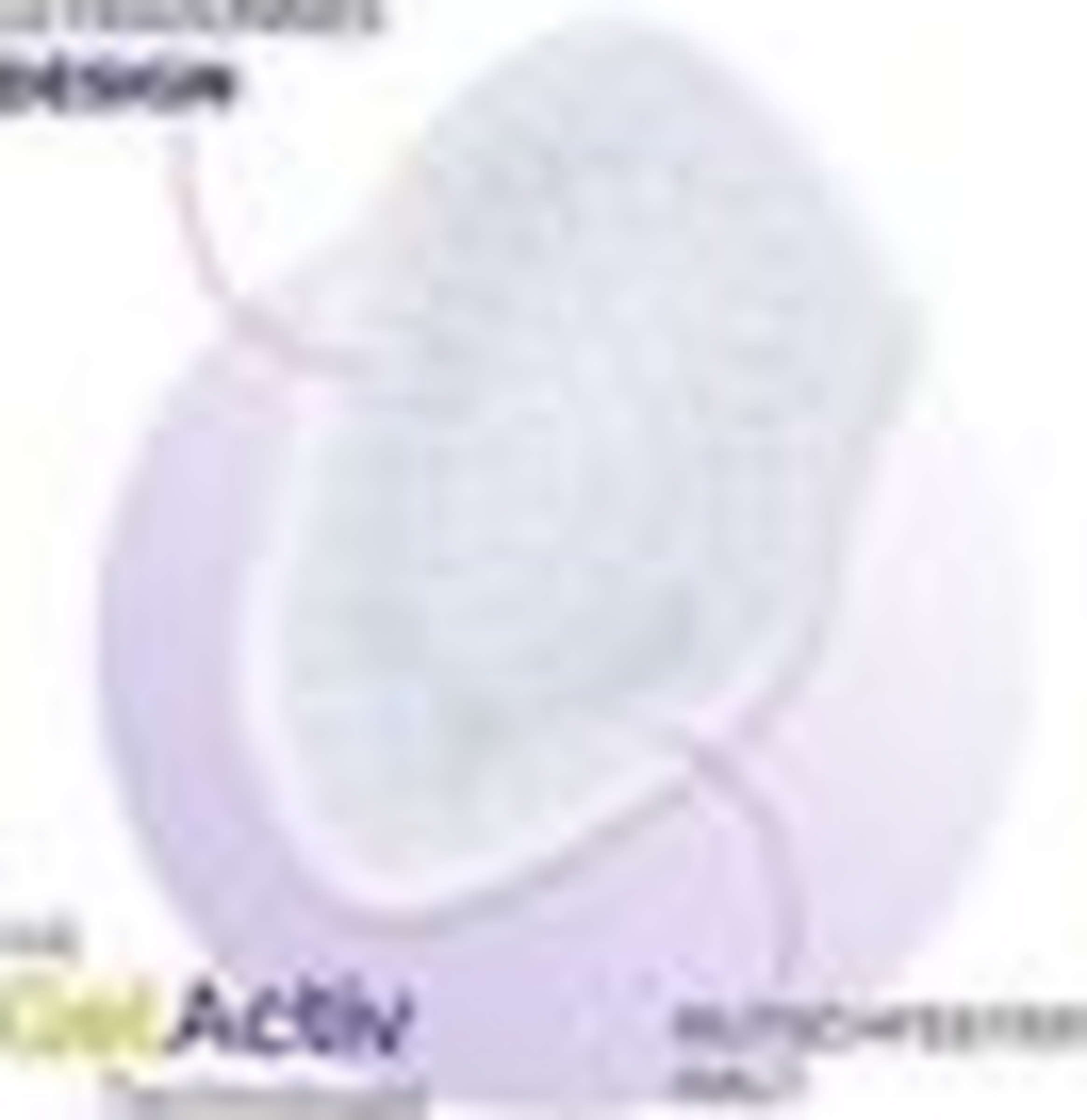 وسائد كعب الحفلات 4