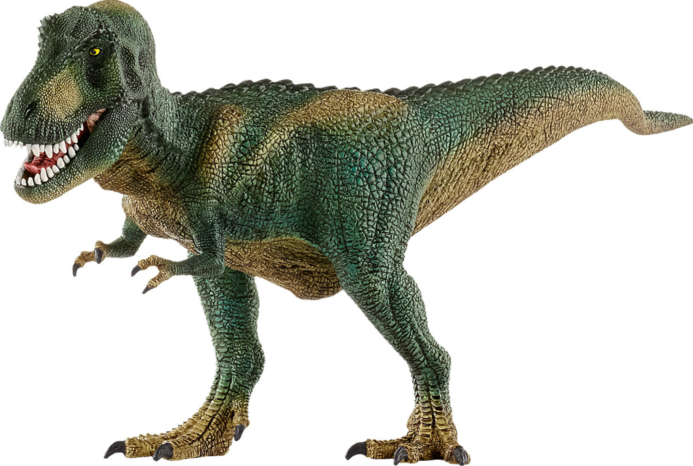 14587 Dinosaurs Tyrannosaurus