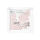 Perfectionist Powder 02 HD Pastel