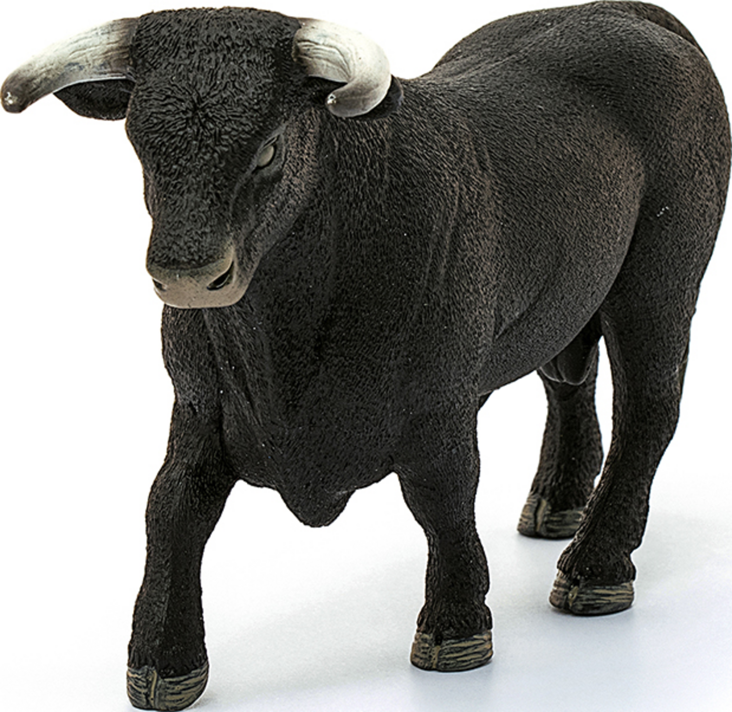 13875 Schwarzer Stier