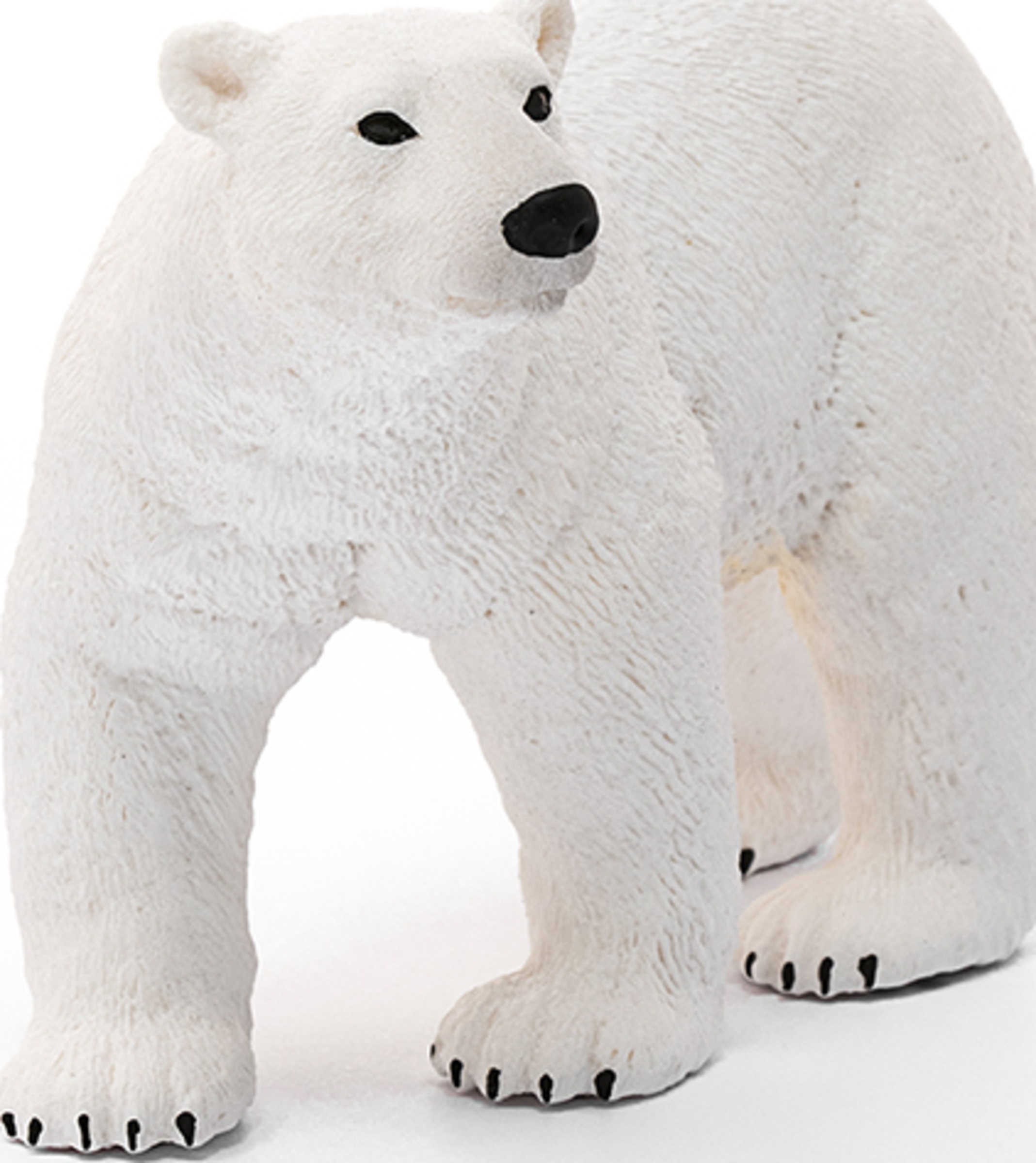 Wild Life Eisbär 14800