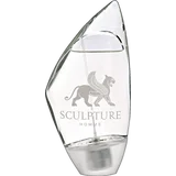 Sculpture Homme, EdT 100 ml