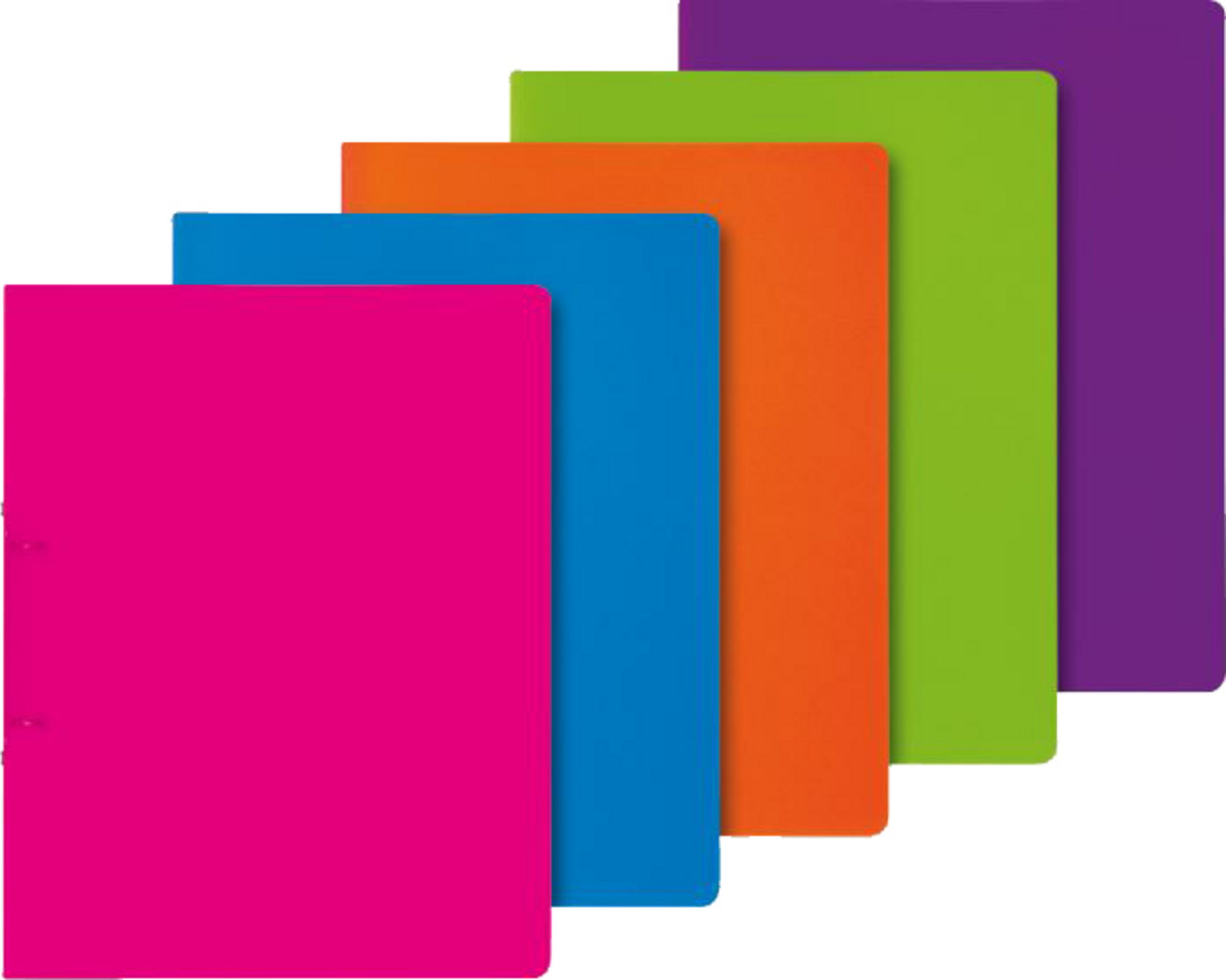 BRUNNEN Fact!pp Ringbuch A4, 16mm, sortiert