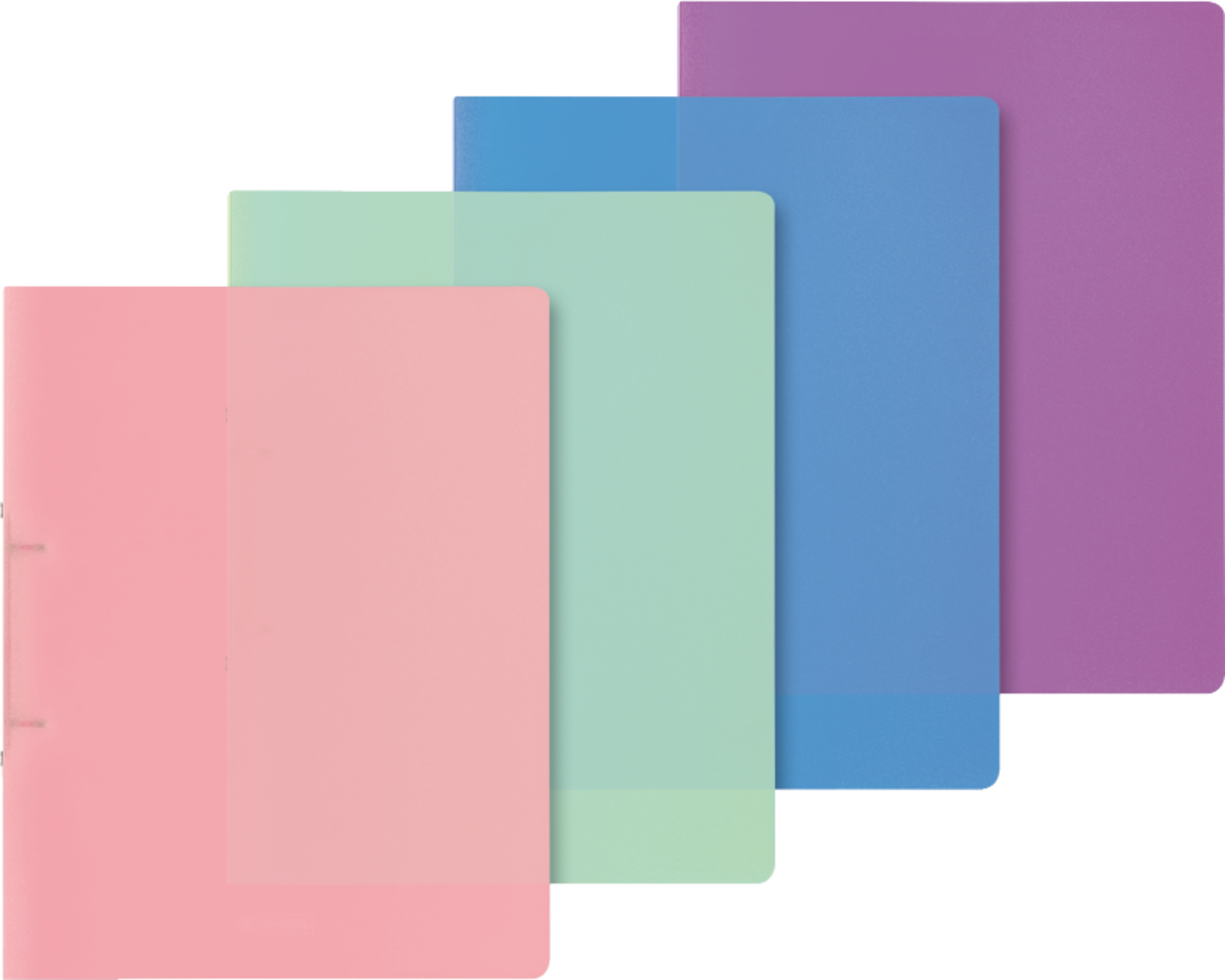 BRUNNEN Ringbuch Fact! A4, 25mm