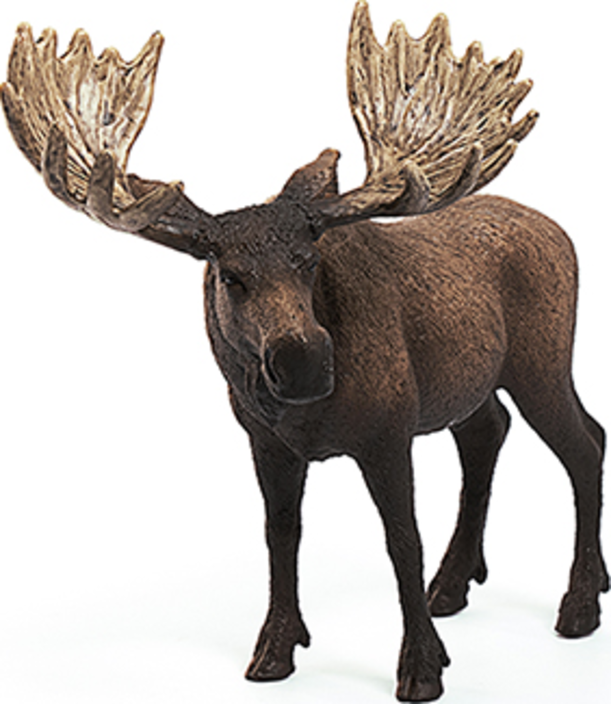 14781 Wild Life, Elch Bulle