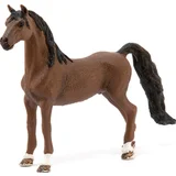 American Saddlebred Wallach 13913