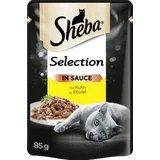 Selection in Sauce mit Huhn