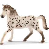 13889 Knapstrupper Hengst