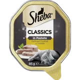 Classics in Pastete mit Geflügel Cocktail