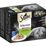 Selection in Sauce Feine Vielfalt Multipack