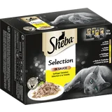 Selection in Sauce Geflügel Variation Multipack