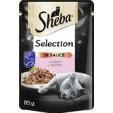 Selection in Sauce mit Lachs