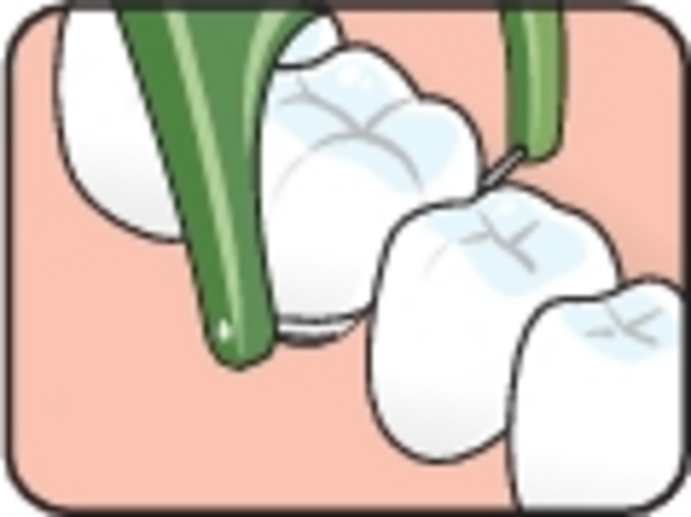 أعواد خيط الأسنان Good Mini Flosser™ 2