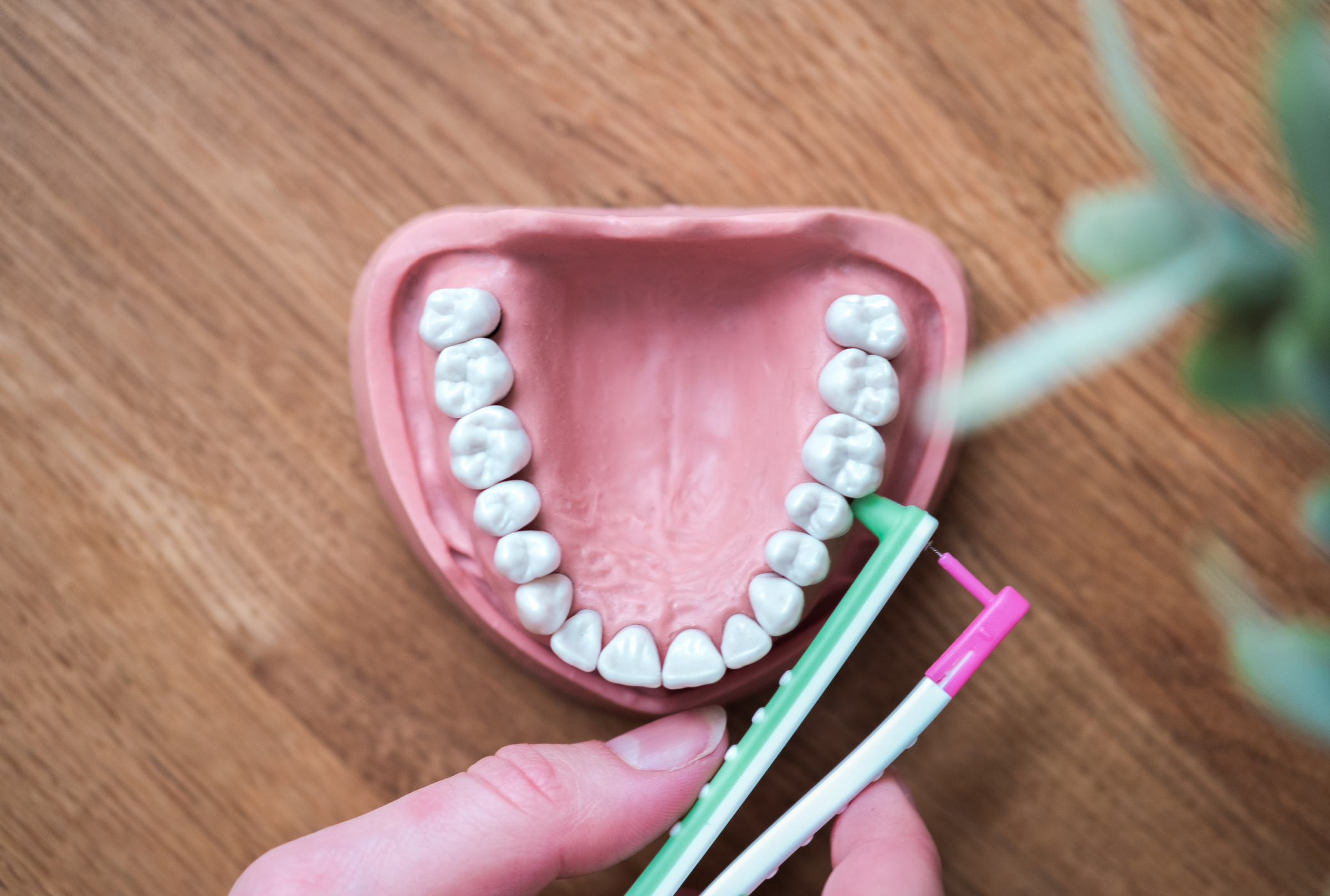 مجموعة بداية فرش ما بين الأسنان مقاس XS، S، M/L 4