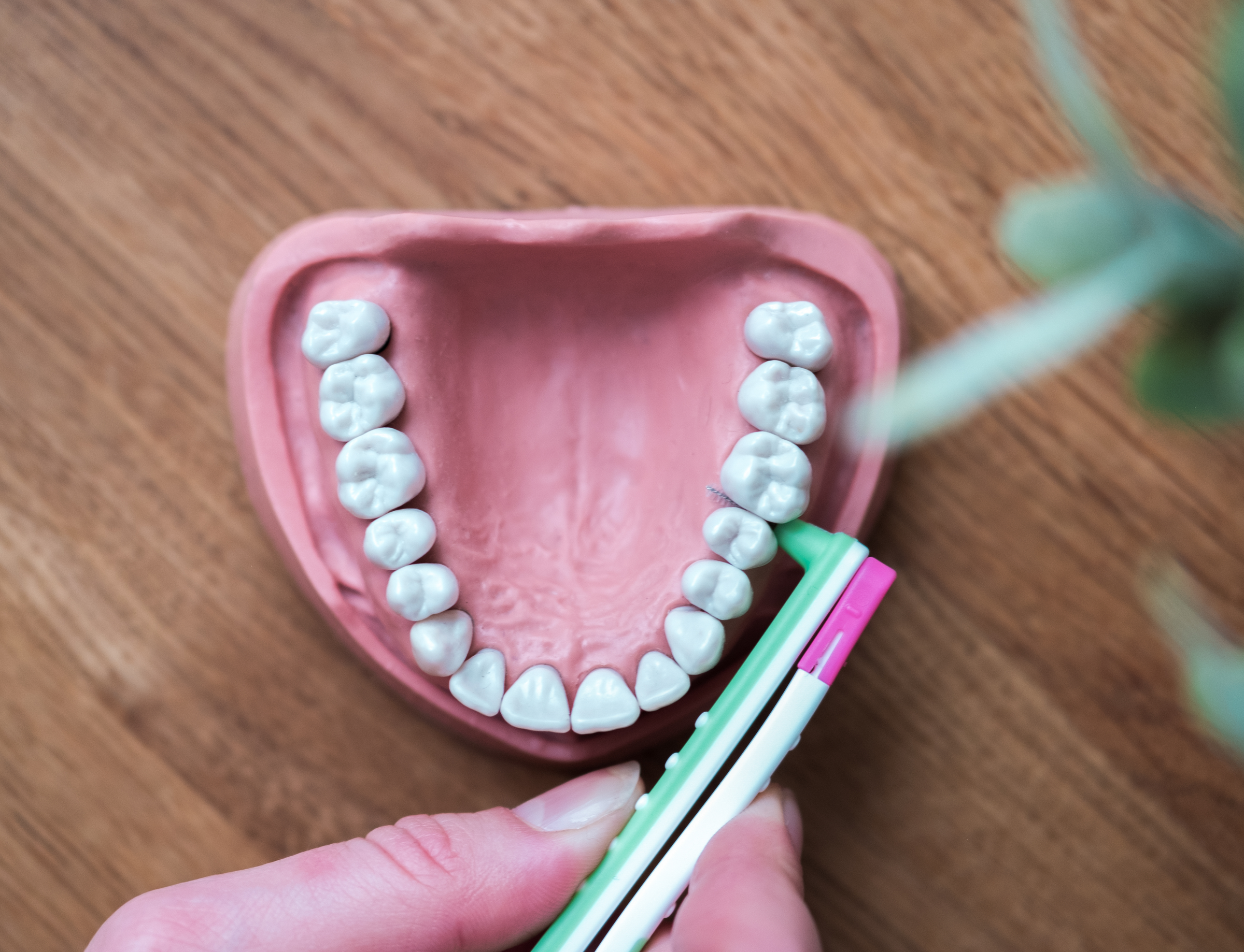 مجموعة بداية فرش ما بين الأسنان مقاس XS، S، M/L 5