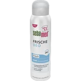 Frische Deo Aerosol frisch Deospray