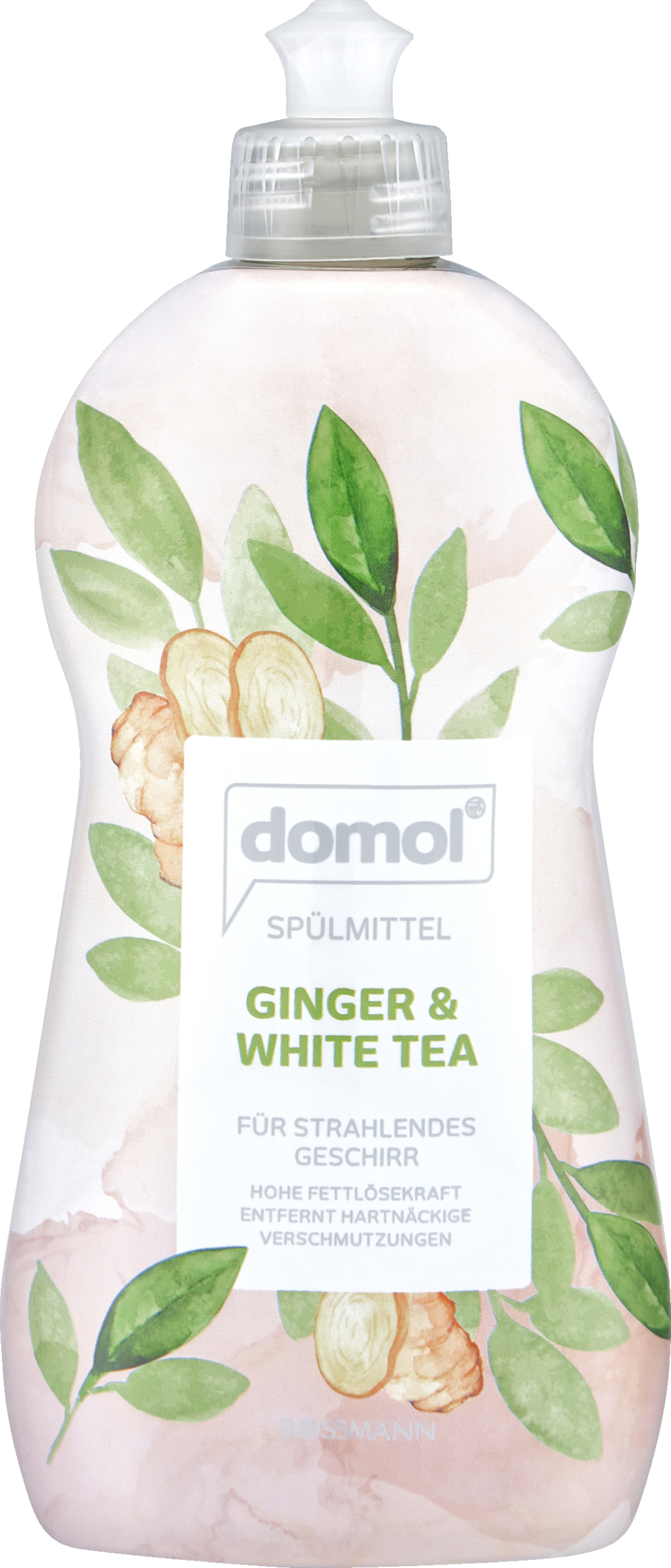 domol Spülmittel Ginger & White Tea