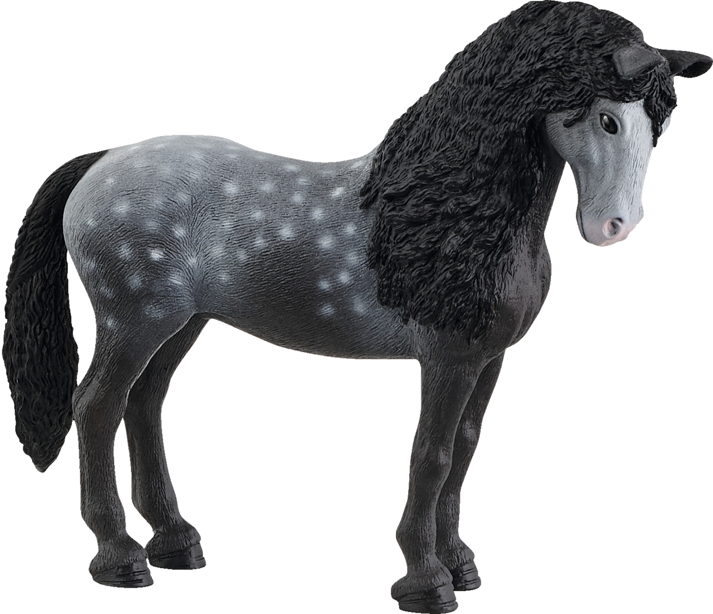 13922 Pura Raza Española Stute