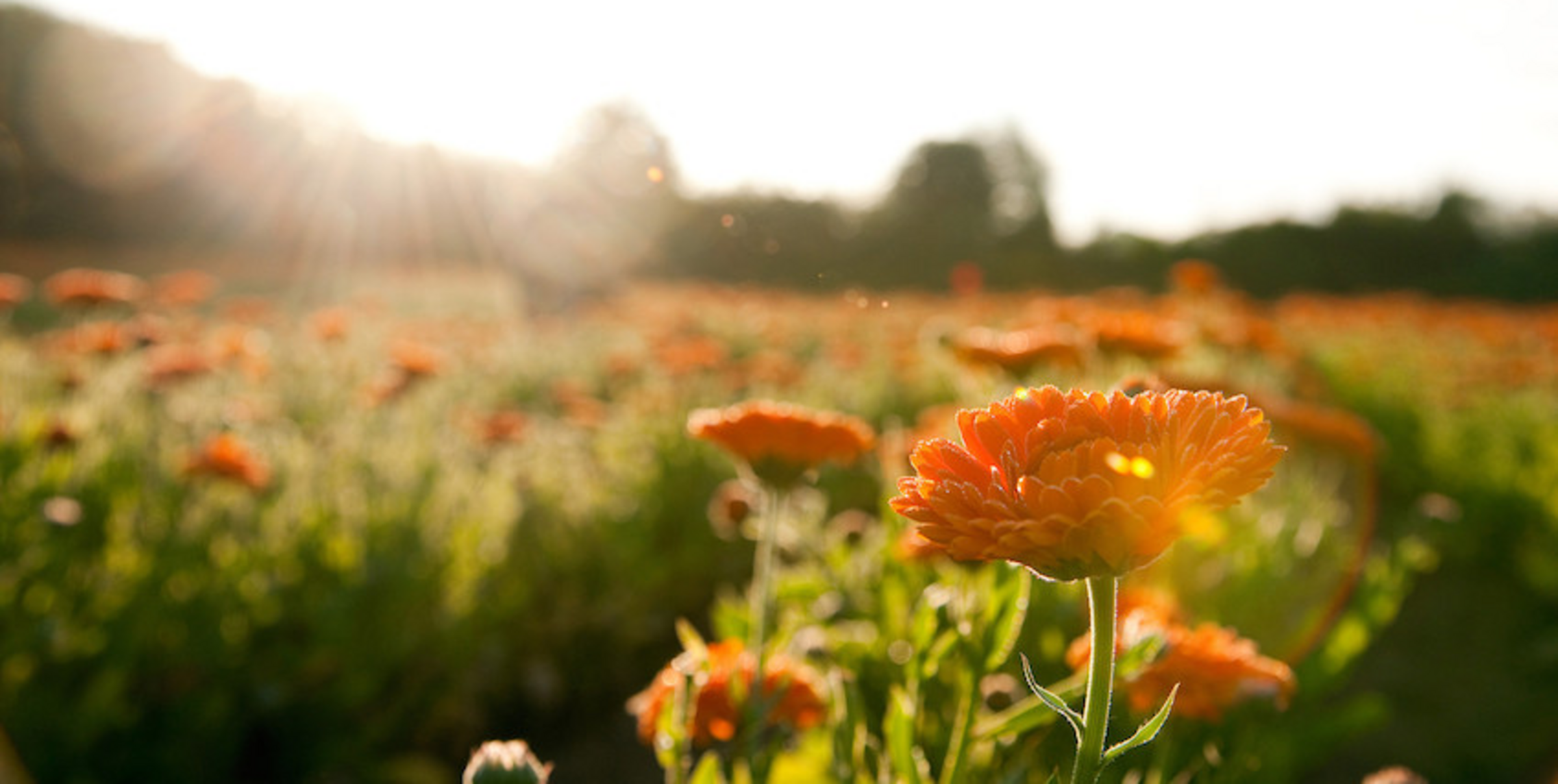 جل أسنان للأطفال للعناية بالأسنان 6