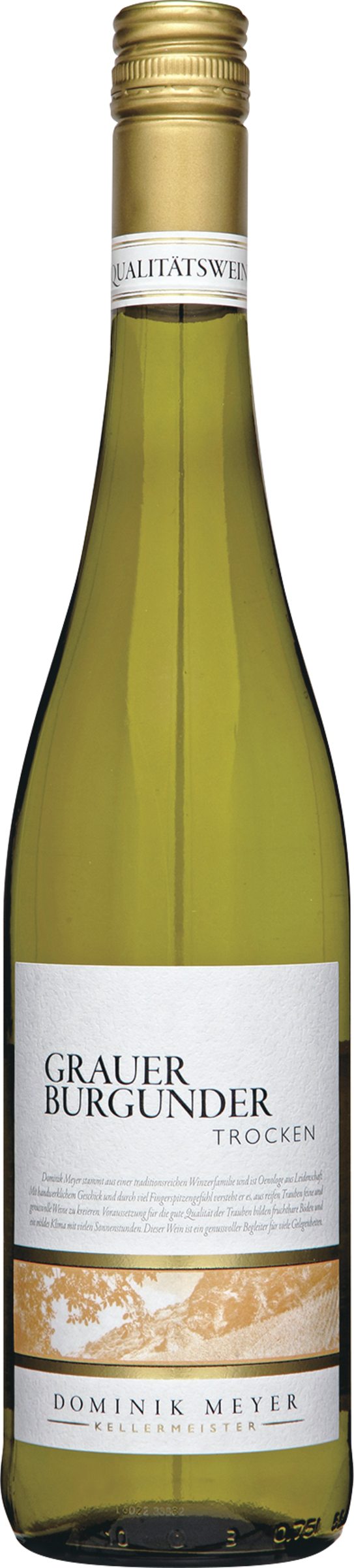 Dominik Meyer Dominik Meyer Grauer Burgunder