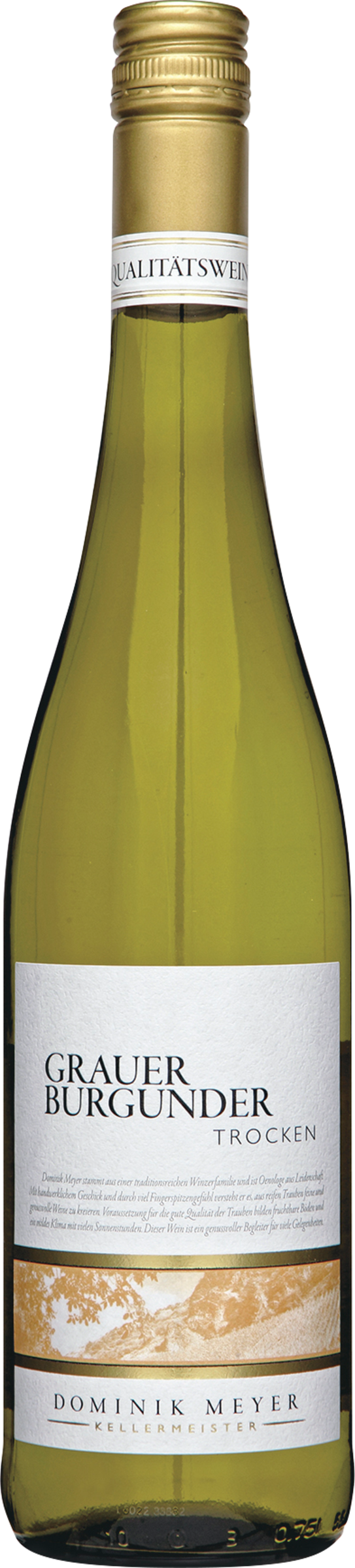 Dominik Meyer Dominik Meyer Grauer Burgunder