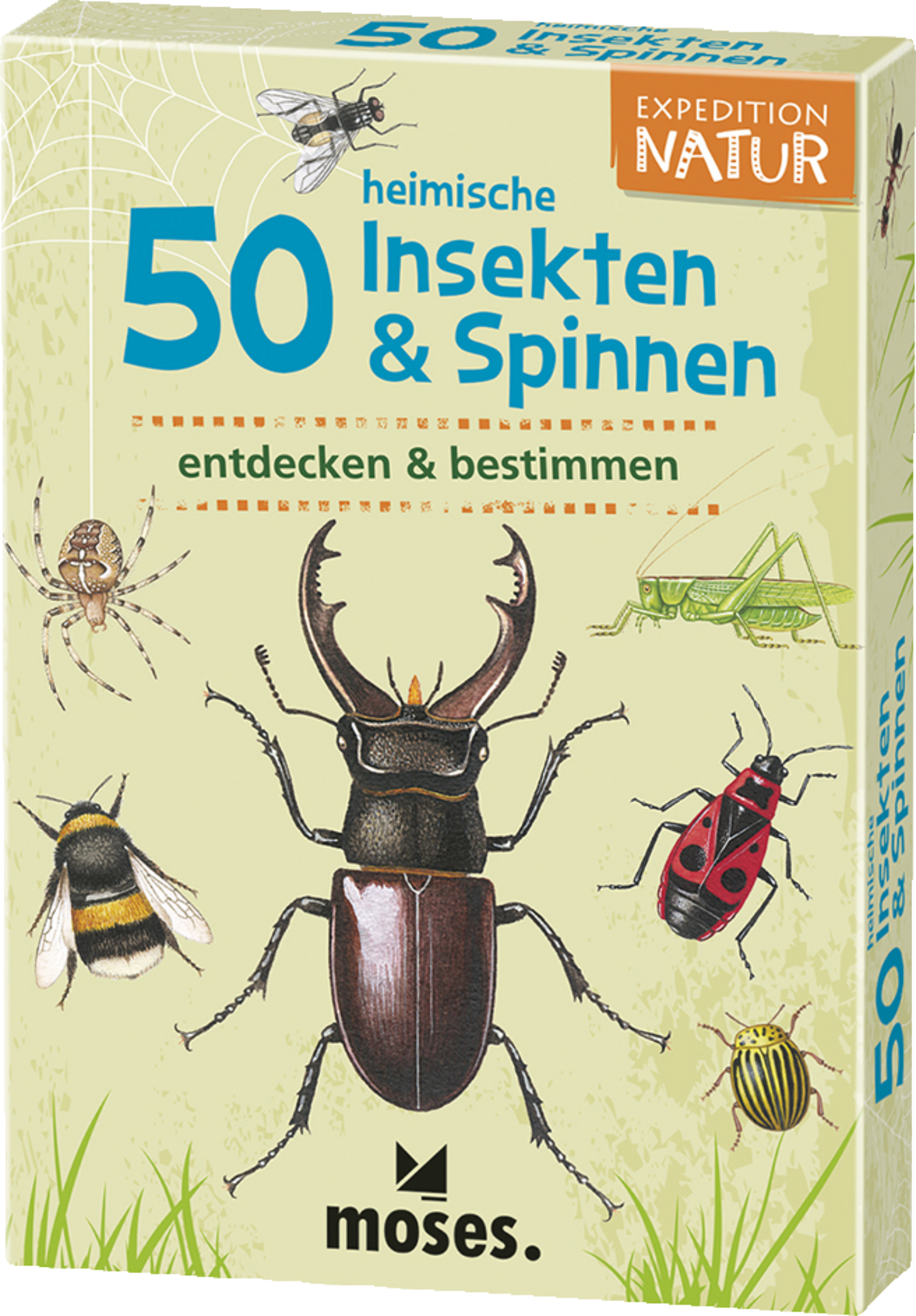 Expedition Natur - 50 heimische Insekten & Spinnen