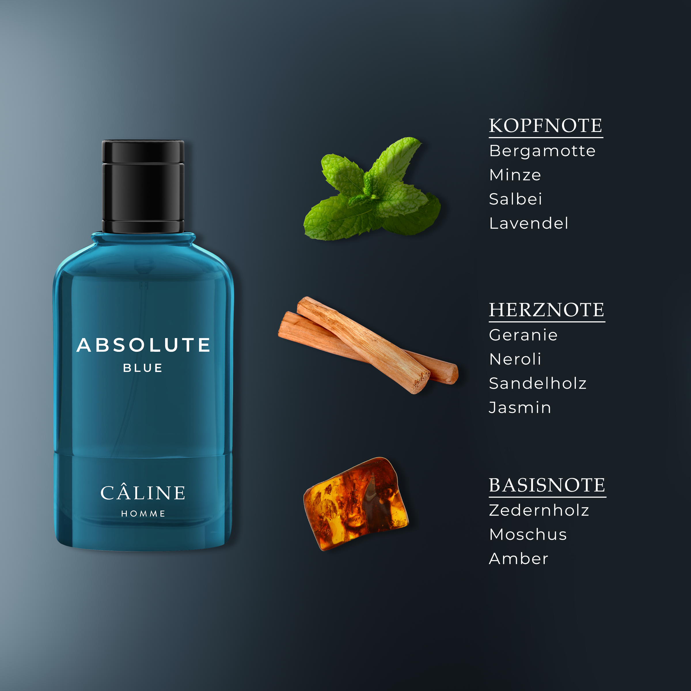 Câline Homme Absolute Blue, EdT 60 ml online kaufen rossmann.de