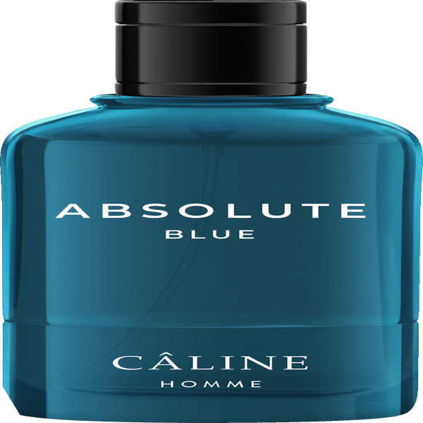 Câline Homme Absolute Blue, EdT 60 ml online kaufen rossmann.de