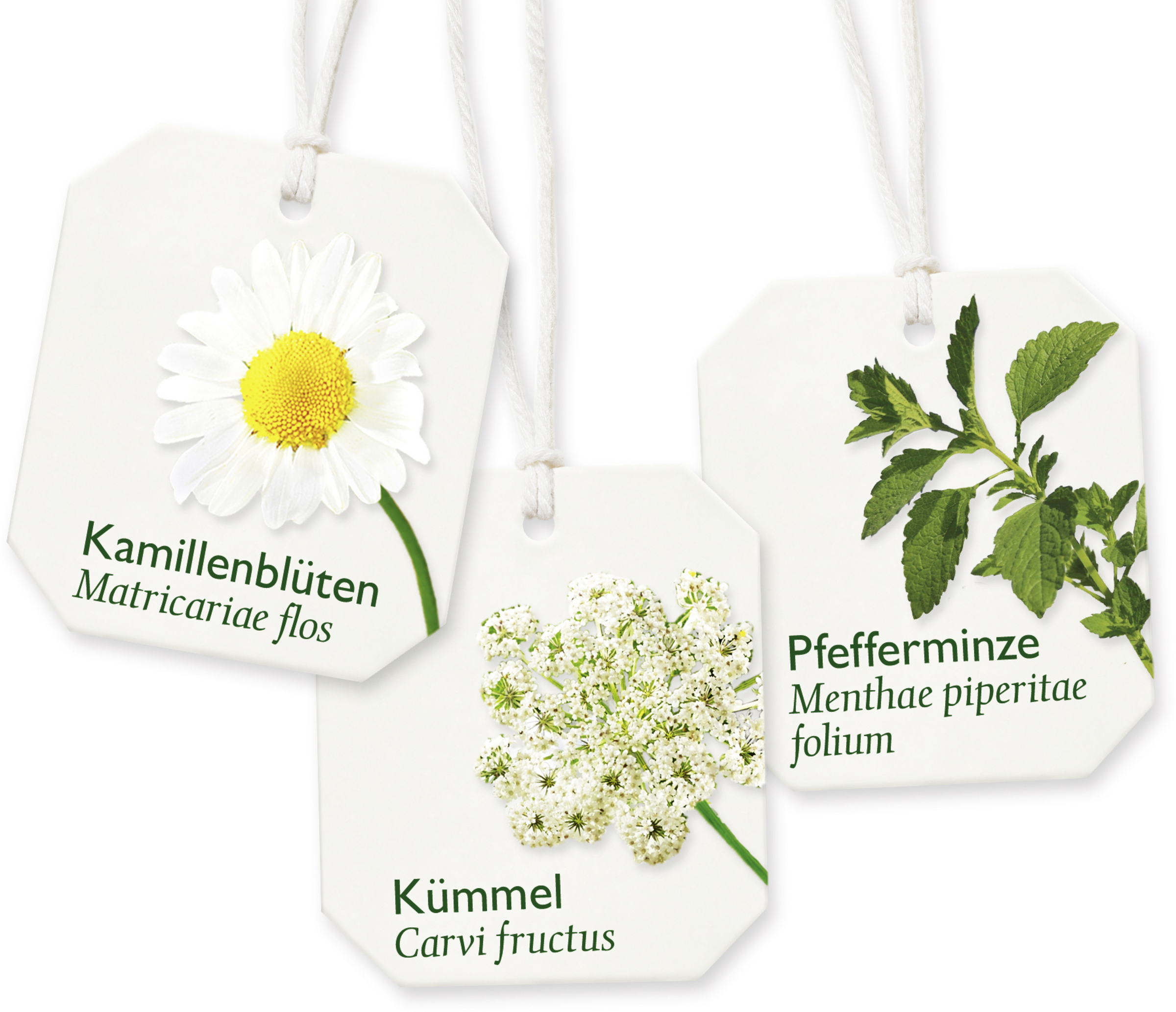 شاي للمعدة والأمعاء 3